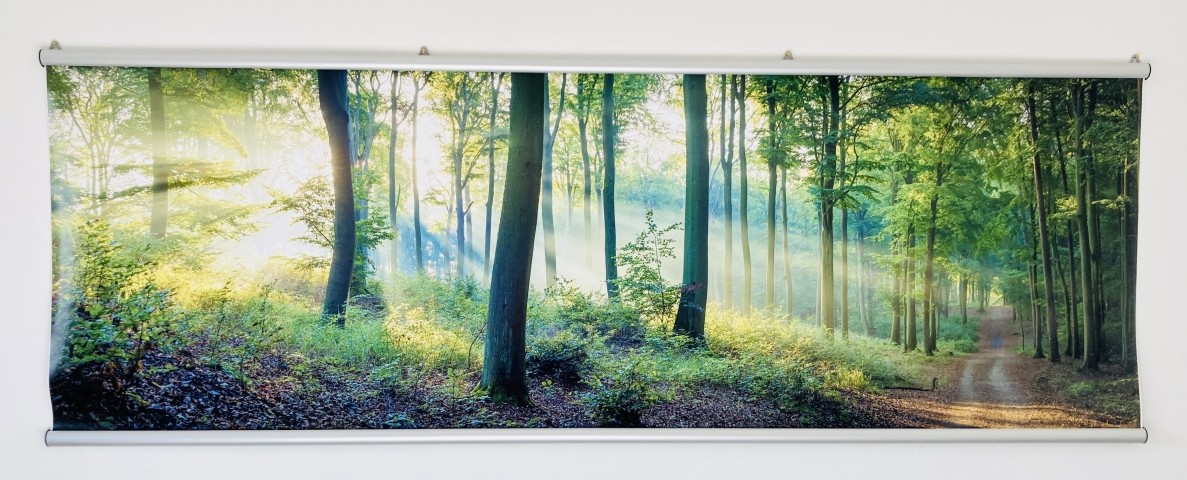 Eifler Wald