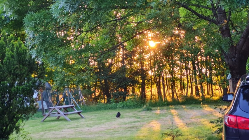 Unser Campingplatz