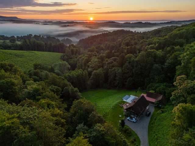 Morgenstunden