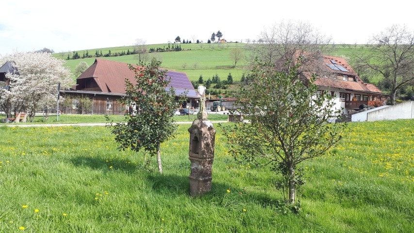 unser Hof mit Ferienhaus
