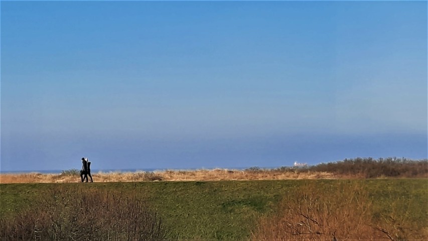 Blick vom Balkon