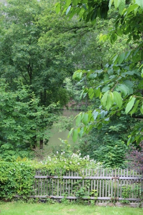 Blick von der Sonnenterrasse auf den Osterteich