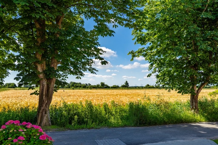 direkte Lage am Feld 