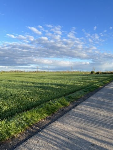 Feldweg Umgebung