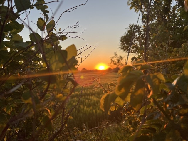 Sonnenuntergang am Haus