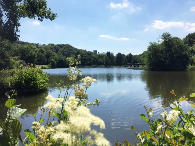 Blick auf den Kerpener See