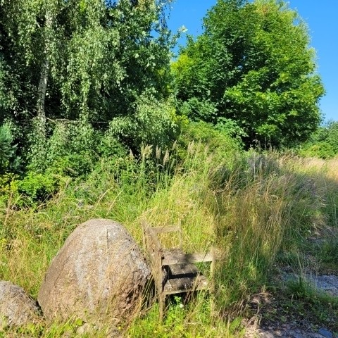 Wilder Garten