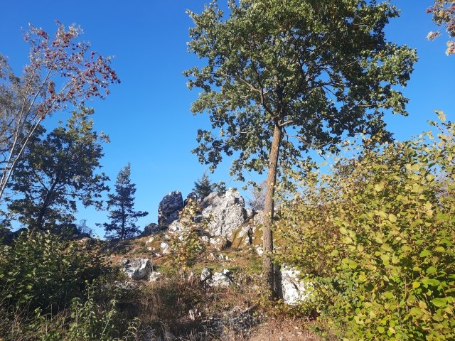 Am Pfahl