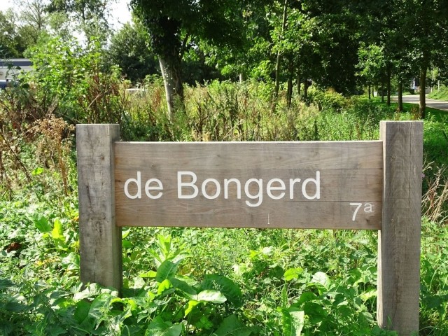 Park De Bongerd