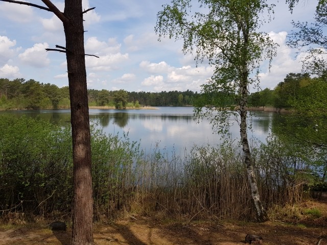Tonsee (200 m entfernt)