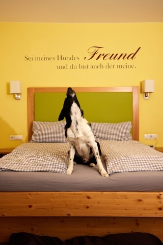 Hundeglück