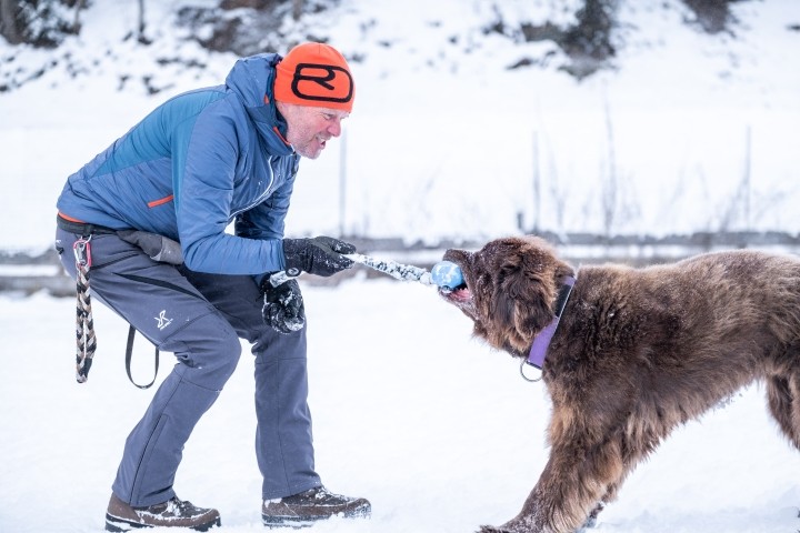 Kostenfreies Hundesitting mit Egon