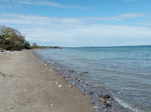 ...Norgaardholz