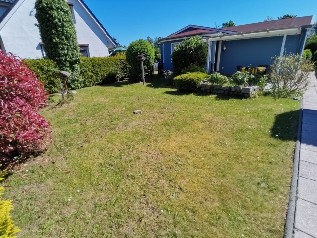 hinterer Garten