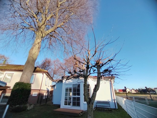Gartenbereich