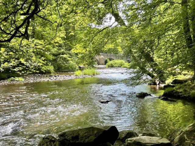 Fluss Nister bei Kloster Marienstatt 15 Autominuten entfernt 