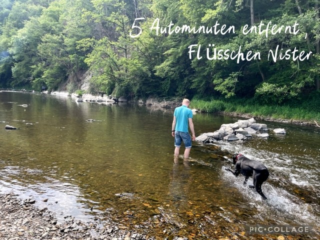 Fluss Nister, 5 Autominuten entfernt 