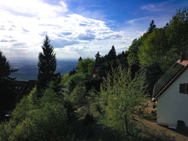 700m über dem Rheintal