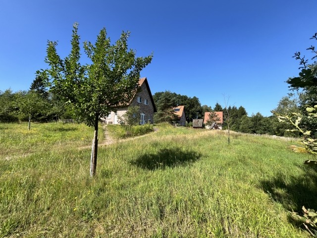 Haus Felsenbirne im Hintergrund