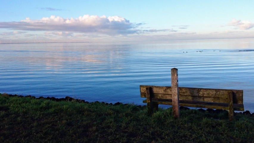 Blick vom Deich auf das IJsselmeer