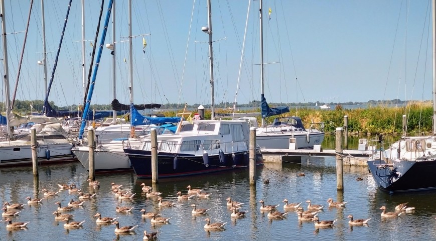 Der kleine Yachthafen direkt neben dem Park