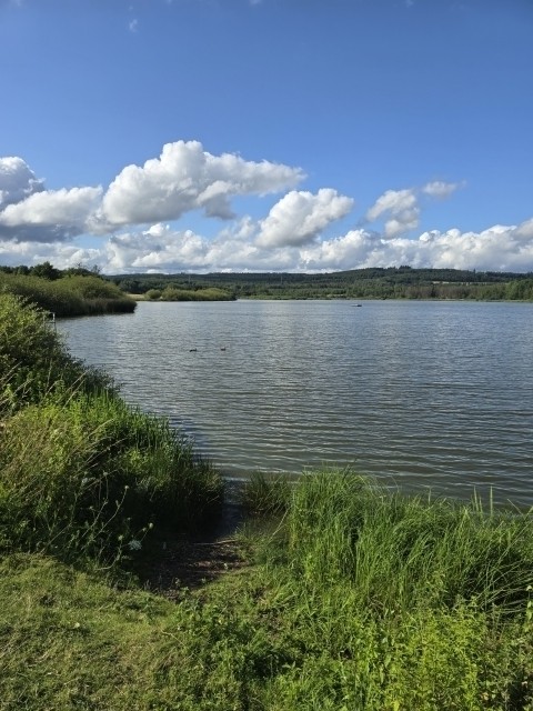 Jungferweiher