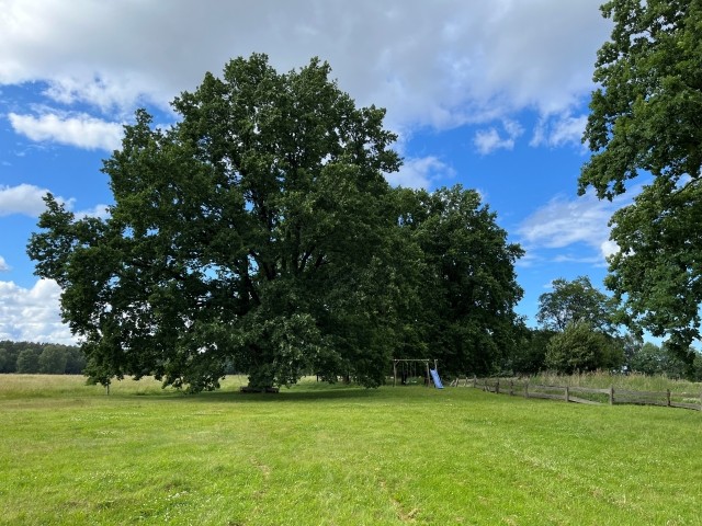 Weitläufige Gartenanlage