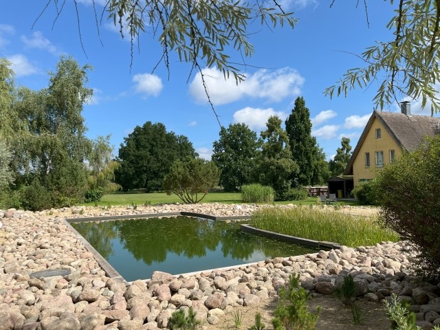 Reetdachhaus Kranich