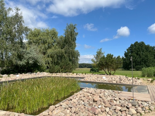 Schwimmteich