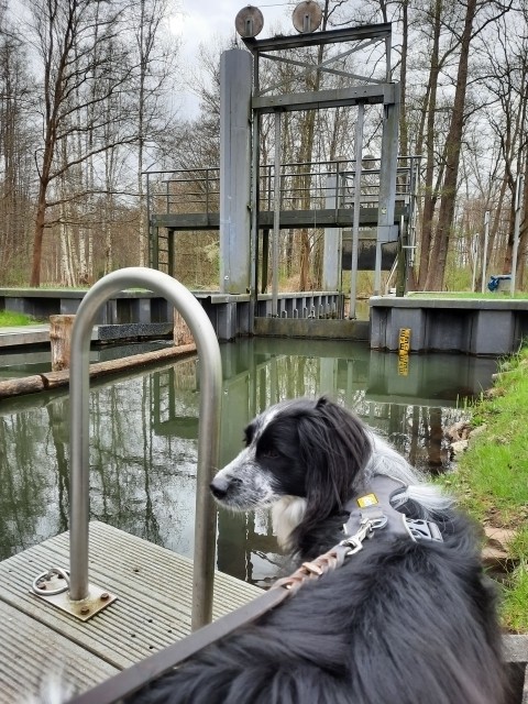 Schleuse Waldschlößchenstraße 