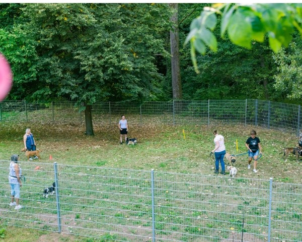 Der große umzäunte Freilauf für Hunde