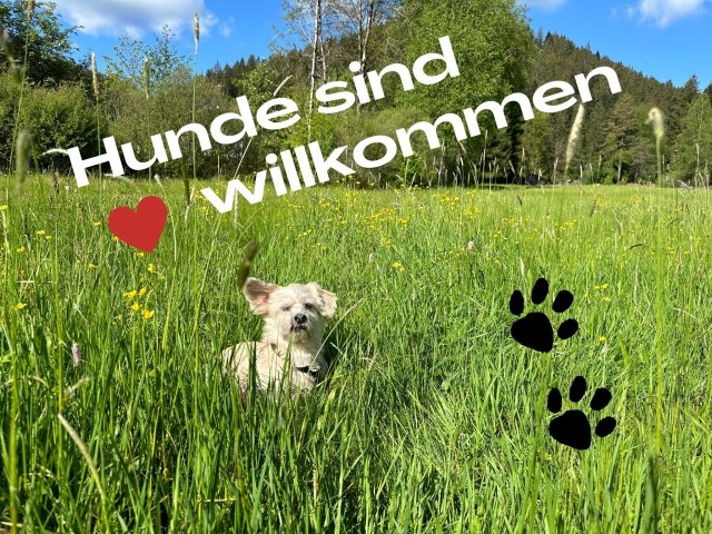 Hunde sind herzlich willkommen