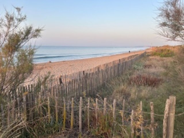 Meer