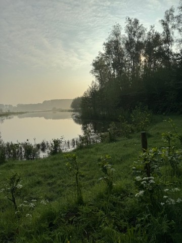 Braakman Zuid Ableingebiet