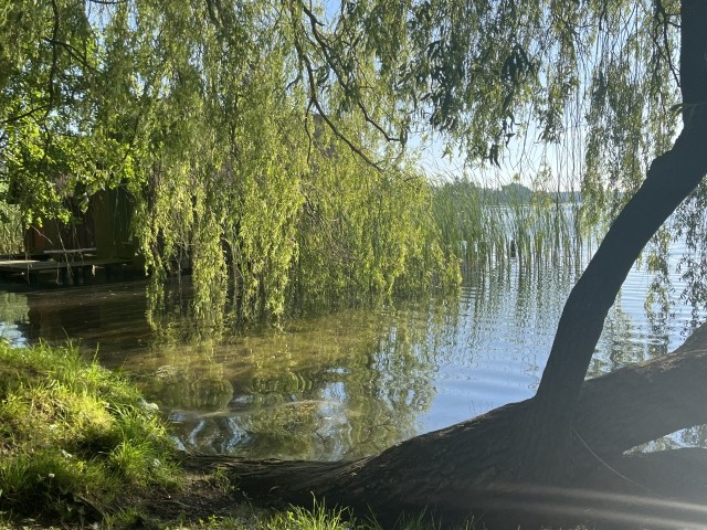 Hundebadestelle