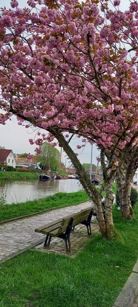 Entlang der Harle