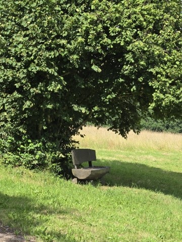 Spaziergänge vom Haus aus 