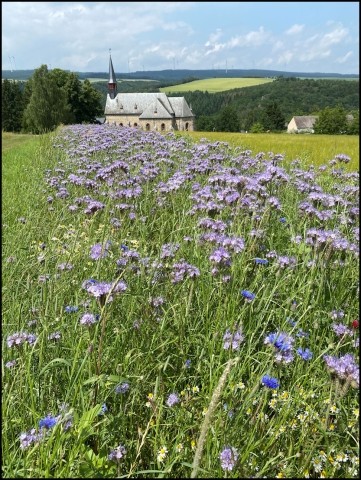 Vor dem Haus