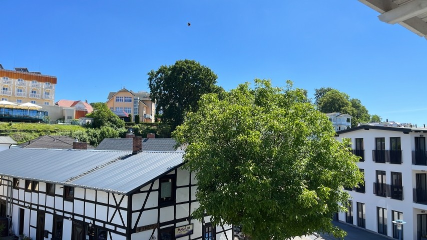 Blick vom Balkon 1
