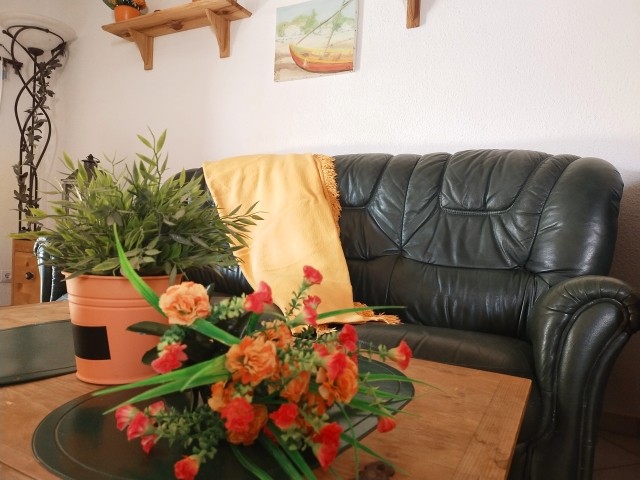Wohnzimmer mit pflegeleichtem Ledersofa
