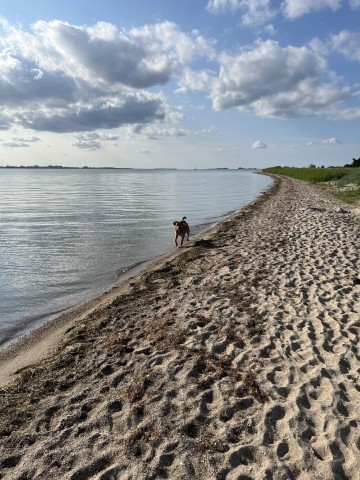 Ludwigsburg Naturstrand 