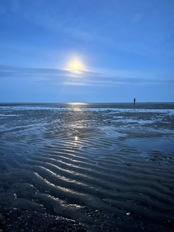 Wattenmeer