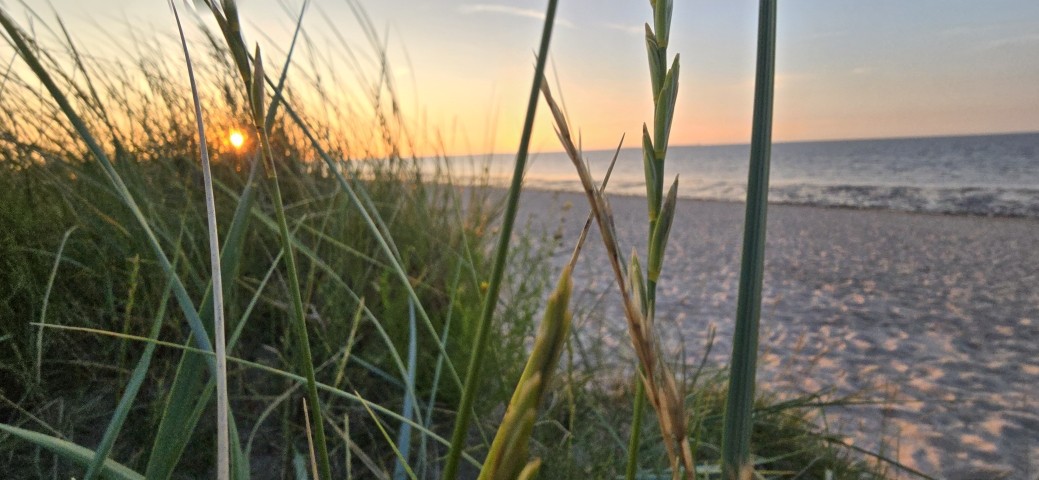 Hundestrand am Abend