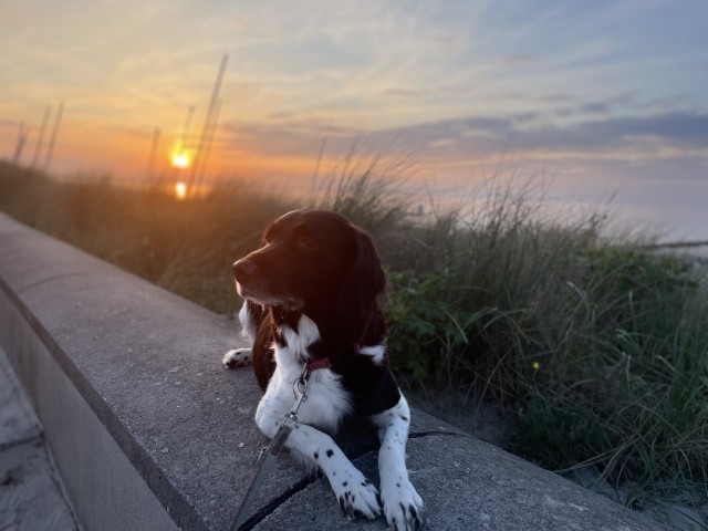 Emma im Mai an der Promenade 
