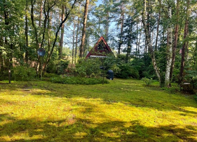 Blick vom Garten zum Haus 