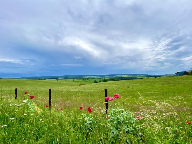 Panoramablick