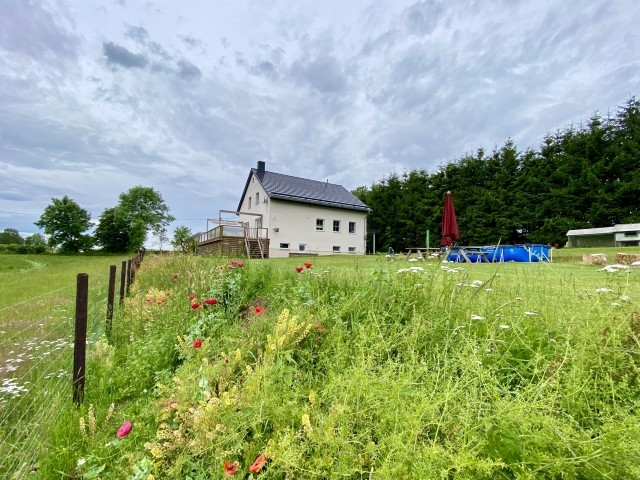 Blick vom Garten 