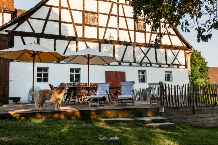 Große Terrasse mit Bar