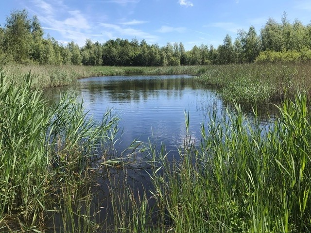 Braakman Noord
