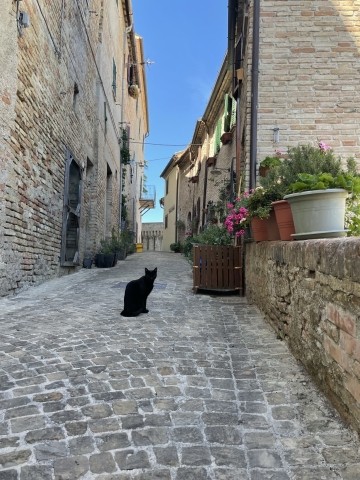 Corinaldo